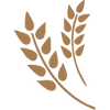Contains wheat